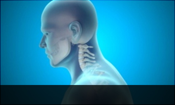 광주자생한방병원 목질환 일자목증후군-정상적인 C자형 목뼈 모습입니다.